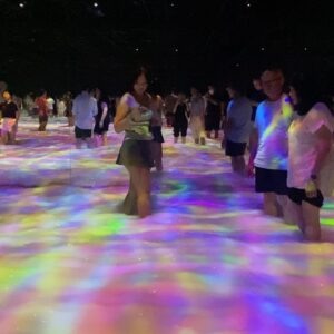 Brea Grant Instagram - Tokyo photo dump week 1.