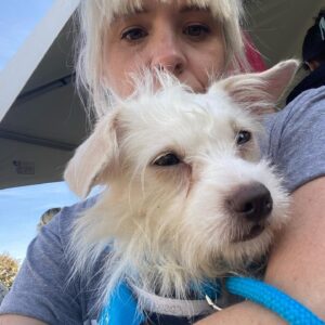 Brea Grant Instagram - Super Adoption last weekend
Good photos by @helennamsantos 
Dog photos by me