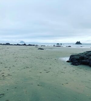 Bree Williamson Instagram - Today was my last day of Graduate school- Masters in Clinical Psychology. We celebrated by going for an walk on the beach with the dogs, my husband and my kid. It was perfect.