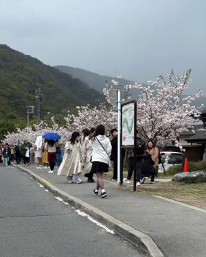 Bree Williamson Instagram - Japan you are a wonderful, magical place. This trip was everything I hoped for and more. I can hardly wait to return. Also @mass_consumption told me my Japan posting has been abysmal - hopefully this helps.