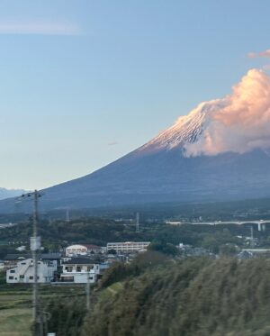 Bree Williamson Instagram - Japan you are a wonderful, magical place. This trip was everything I hoped for and more. I can hardly wait to return. Also @mass_consumption told me my Japan posting has been abysmal - hopefully this helps.