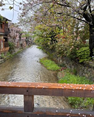 Bree Williamson Instagram - Japan you are a wonderful, magical place. This trip was everything I hoped for and more. I can hardly wait to return. Also @mass_consumption told me my Japan posting has been abysmal - hopefully this helps.