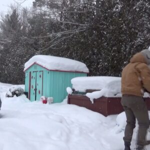 Brenton Thwaites Instagram - Titans fans. 
If you’ve ever wondered how I train during the winter months in Canada. Here it is. Subzero style. A casual -23c 
Woot woot. 
🥶💪🏽🥊
