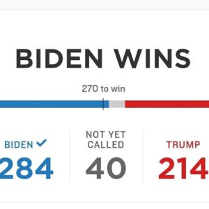 Brett Davern Instagram - This feels so damn good! Congratulations President-elect Biden and Vice President-elect Harris!!