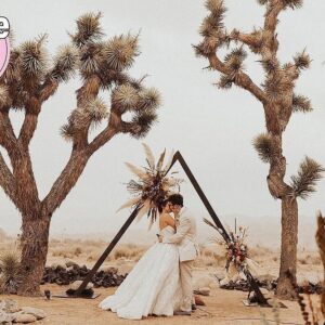 Brett Davern Instagram - #DesertChic 

Congratulations @jillianrosereed & @marty_shannon!Your wedding was beautiful, your vows were perfect, and the party was epic! Love you both to pieces but one of you more than the other 😂❤️ just kidding you’re both 🍕💩’s but your also our best friends!