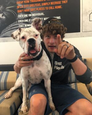Brett Dier Instagram - Hung out at @bestfriendsanimalsociety today! You can adopt this dog Nana. She’s the best. Visit the page for more info about adoption and to volenteer LIKE ME!!!!!! #savethemall🐾 <—- that looks like “save the mall”. But it’s “them all.” Just wanted to be clear for that person who thought I was talking about saving a mall...