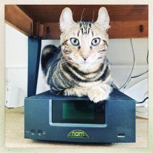 Brian Cox Instagram - Following on from last weeks "Cat on hifi under table #1" - here is the next in my occasional series of artworks. "Different cat on hifi under table #2".