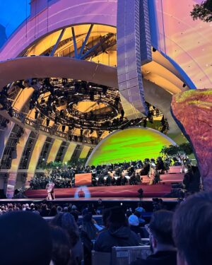 Brian Hull Instagram - Last night was AMAZING!!! The 30th Anniversary Celebration of the Lion King was one of the most amazing shows I’ve seen! You don’t wanna miss this when it comes to Disney Plus! @disneyconcerts