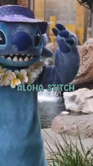 Brian Hull Instagram - Stitch Dancing the Hula #disneyland #aulani #hawaii #impressions #stitch #disney