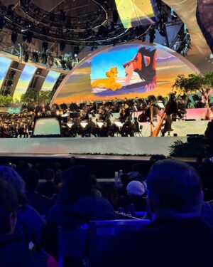 Brian Hull Instagram - Last night was AMAZING!!! The 30th Anniversary Celebration of the Lion King was one of the most amazing shows I’ve seen! You don’t wanna miss this when it comes to Disney Plus! @disneyconcerts