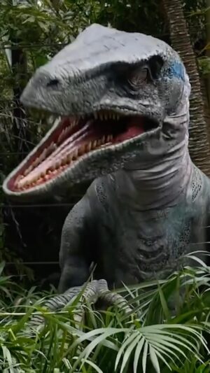 Brian Hull Instagram - I Think I Insulted the Raptor…