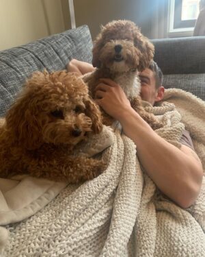 Brian J. Smith Instagram - It’s good to be home. 🐶 🐶