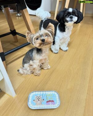 Brian Joo Instagram - 우리 아들 로미 오늘 5살 되는날이에요~ Happy 5th Bday, to my baby boy Romey!!🎉😘🥳🎁