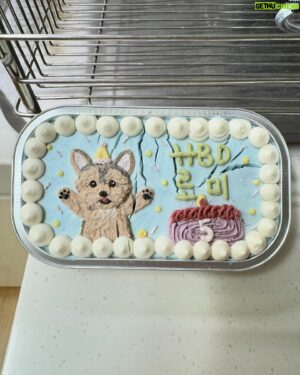 Brian Joo Instagram - 우리 아들 로미 오늘 5살 되는날이에요~ Happy 5th Bday, to my baby boy Romey!!🎉😘🥳🎁
