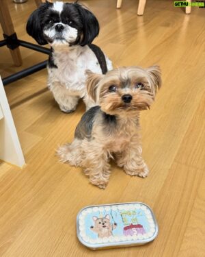 Brian Joo Instagram - 우리 아들 로미 오늘 5살 되는날이에요~ Happy 5th Bday, to my baby boy Romey!!🎉😘🥳🎁