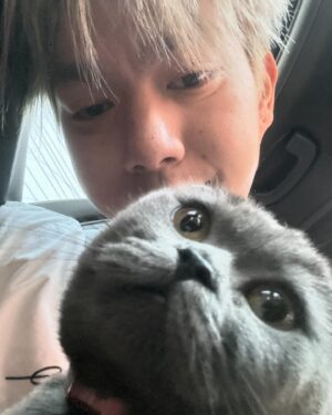 Bright Norraphat Vilaiphan Instagram - พาพี่ใหญ่มาสำรวจตลาด 🫡🐱