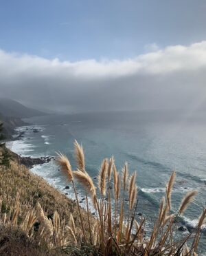 Brit Morgan Instagram - 18 hour drive. Over the Canadian border and through three states and I’m almost in LA. I’ve been on a quest for what feels like “home” for a few years now. Is it a place? Is it a person? Is it a passion? And then I find the ocean. Or a river. Or a sky full of stars. And I remember all over again.  It’s an energy.  A feeling deep inside that can be carried with us wherever we go always. Nature reminds us of this. Recalibrates us. It meets us where we’re at yet reminds us where we’re from. 

That feeling of expansion and trust and beauty and limitless possibility and unconditional love? Home. 

Available for us 24.7, 365 days a year for the rest of our lives. No matter where we are. It’s just a matter of remembering. And tuning in. 

💛💛💛