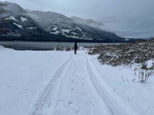 Brittany Allen Instagram - The breathtaking beauty of BC. 

w/ the crew - @colin_minihan , Mister and Kobe 

Swipe through to see the wise sage amongst us savouring it all - as he always does. ❤️