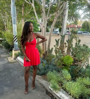 Brooke Thomas Instagram - Swipe for a look at white cheddar shishito cornbread with honey and butter omgggg 🤤🤤🤤

Dress: @loversfriendsla @revolve 
Shoes: @ysl 
#foodreview #michelinstar #ootd #girlsnightout