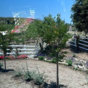 Brooke Thomas Instagram - Oh hi, Ojai! ;) sunshine, eating good, laughing with friends (singing off key with friends too— see the last slide for that😂) a Black owned winery, remembering grandma’s lessons for the BEST skincare, DJ Nina Snow on the aux and @luckygirlrose! What else do you need?!