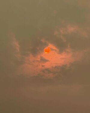 Bruce Campbell Instagram - Just another beautiful Oregon summer afternoon. I used the always cool #wildfiresmoke filter to enhance.