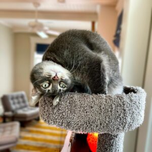 Bruce Campbell Instagram - Sometimes, the world just seems upside down.