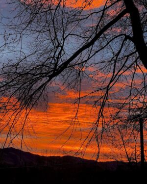 Bruce Campbell Instagram - The sun is coming - and it’s pissed!
