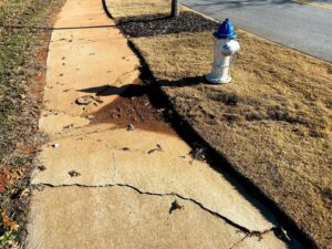 Bruce Campbell Instagram - After an exhaustive study, it was determined that the adjacent fire hydrant had absolutely nothing to do with the sidewalk collapse. Absolutely nothing.