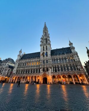 Bruce Roeland Instagram - a freezing sunny day in brussels 🇧🇪