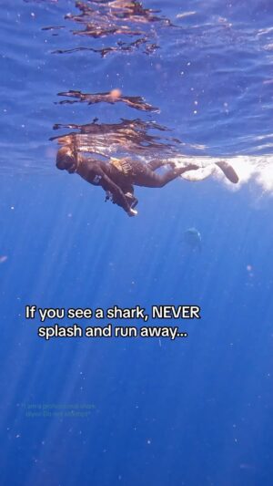 Bryan Callen Instagram - Not only will I not do this I’ll be avoiding the ocean as a whole. No thanks. #stitch #reaction #sharks #shark #reels #instareels #bryancallen
