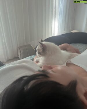 Bryan Shu-Hao Chang Instagram - 前陣子跟朋友聊天，對於「幸福」的定義，我是這麼覺得～
每一天能用健康的身體起床、行走、吃飯然後安穩的睡覺，這些，其實都是很簡單的幸福，即使我們都習以為常。
一生之中，總有些事情、有些人、有些生命是我們真心在乎的，與之相伴或參與其中都能使我們真正的快樂，那種買不到的快樂！
功成名就大富大貴只是滿足我們的需求與慾望，那不是快樂，那只是滿足後的爽快而已。
這陣子兩個工作接連而來的壓力與辛苦，總會在我每天回到家毛孩子們的迎接，還有起床窒息的愛完全撫平。
當你在日常中讓自己短暫的停歇，好好的看看毛小孩，好好的看看父母、情人，好好的享受你喜愛的事情，你會發現幸福其實很簡單。
只是我們總以為擁有的更多才會幸福，卻一生都在追求那些追不完的慾望，然後忽略了最美好的回憶。
嘗試看看，停一停，感受一下，其實我們都很富有！