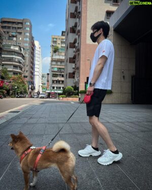 Bryan Shu-Hao Chang Instagram - 君子動口不動手，這句話每個男生小時候肯定是記的牢牢的，但當時會記得的原因，大多並不是督促自己要有修養，只是在玩文字遊戲。

「好啊，只要不動手，怎麼言語攻擊都可以」

玩笑的、嘲諷的、歧視的、惡意的，通常不是伴隨著霸凌，就是在班上話語權大的人隨心所欲的玩笑。記得聽過「誒你便當是不是剛去廚餘桶撈的」「制服好看喔，你爺爺傳下來的傳家寶吼」或是吵起架來的「打我啊俗仔，賭你不敢啦」然後就有人反擊了…..

最後處罰的大多是動手的那個，嗆人的頂多就是被唸一唸而已。旁觀的我們大多也認為是啦，你幹麻動手，嗆回去就好啊！或是你幹麻理他啦，就當作沒聽到就好了，不理他他就會覺得無聊了。

後來才覺得君子動口不動手其實只是一個底線的規範，並不是只要動口不動手就是君子、就沒有問題。所有的法律、校規，都只是最後一步，沒犯法沒犯錯不就代表是好人。一個真正的君子，是言語跟行為都受人讚賞的！

有時候玩遊戲激動的時候總會爆些粗口，爸爸就會說「嘴巴不好心地再好也不能算是好人」，我都會回說不是真的在罵啦。但其實自己內心知道，雖然當不當好人沒那麼重要，卻也不想當個沒品的粗俗人～

這也讓我想到一個一直困擾我很久的問題，像很多類型片演司法不公的父親報仇啦！伸張正義的俠客私刑啦！我們會合理化的覺得，因為沒有正義，因為替天行道。但私刑與復仇，是被允許的嗎？我們又怎麼知道這樣是對還是不對？可是我們還是看得很爽，票房還是大賣！是不是某種程度也反應了沒有人喜歡不被尊重、被欺負，大家其實都不想當受害者。如果某人超越了我們的底線，像故事裡的情節，我們是不是也會做類似的選擇？直至今日，我只能不斷的提醒自己，不管是言語還是行為，都不該傷害任何人。

雖然前陣子發生了憾事，但透過別人的經歷警惕自己，盡可能不枉費這世界的一記棒喝吧！

好險我女鵝不咬人也不愛亂叫😂
