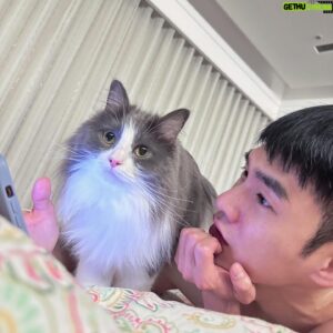 Bryan Shu-Hao Chang Instagram - 從我們的互動中，看得出來哪隻是兒子哪隻是女兒嗎？
不知道養貓的各位是不是也常常在床上用手機用到一半突然被擋住的經驗，更傻眼的是接著他們就會用屁股對著你，然後….就被我推走了～
有人說那也是貓喜歡你的表現，可我想說，沒關係，這種喜歡，不用謝謝🤣