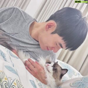Bryan Shu-Hao Chang Instagram - 從我們的互動中，看得出來哪隻是兒子哪隻是女兒嗎？
不知道養貓的各位是不是也常常在床上用手機用到一半突然被擋住的經驗，更傻眼的是接著他們就會用屁股對著你，然後….就被我推走了～
有人說那也是貓喜歡你的表現，可我想說，沒關係，這種喜歡，不用謝謝🤣