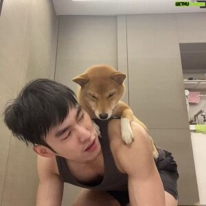Bryan Shu-Hao Chang Instagram - 開拍前就在家運動，但只要每一次趴在地上就會被各種搞，各種舔各種蹭，怎麼推也沒用。
決定把牠放在身上然後一放就又不走了….

#在家健身的悲哀