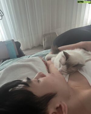 Bryan Shu-Hao Chang Instagram - 前陣子跟朋友聊天，對於「幸福」的定義，我是這麼覺得～
每一天能用健康的身體起床、行走、吃飯然後安穩的睡覺，這些，其實都是很簡單的幸福，即使我們都習以為常。
一生之中，總有些事情、有些人、有些生命是我們真心在乎的，與之相伴或參與其中都能使我們真正的快樂，那種買不到的快樂！
功成名就大富大貴只是滿足我們的需求與慾望，那不是快樂，那只是滿足後的爽快而已。
這陣子兩個工作接連而來的壓力與辛苦，總會在我每天回到家毛孩子們的迎接，還有起床窒息的愛完全撫平。
當你在日常中讓自己短暫的停歇，好好的看看毛小孩，好好的看看父母、情人，好好的享受你喜愛的事情，你會發現幸福其實很簡單。
只是我們總以為擁有的更多才會幸福，卻一生都在追求那些追不完的慾望，然後忽略了最美好的回憶。
嘗試看看，停一停，感受一下，其實我們都很富有！