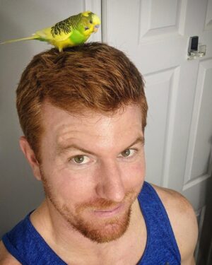 Bryce Eilenberg Instagram - Someone's pet parakeet landed on us in St. Croix so now we are taking care of it until we find its owner.  My head apparently makes a good tree branch.