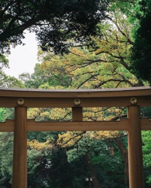 Buber Mak Instagram - 《🌳》

準備落機嗰一刻先發現⋯⋯
原來我未試過春天去日本🍃
好多唔同綠色嘅日本好靚～

不過我部iPhone 11pro影嘅相，
同我中學嗰部Nokia影嘅真係差唔多(´･_･`)
我下次都係乖乖地換部電話先去旅行！

所以，
我所有相都係偷 @eddielo 影嗰啲(˶‾᷄ ⁻̫ ‾᷅˵)