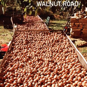 Burak Hakkı Instagram - Farm Life! Walnuts “Chandler,Franquette,Fernor”
Chandler , Fernor , Franquette cinsi Cevizlerimiz!