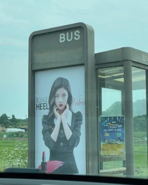 Byun Young-joo Instagram - 요즘 나의 놀이동산이자 아울렛인 고양의 화훼마트. 홍콩야자와 남천, 올리브를 새 식구로. 그리고 아보카도 씨앗은 한달이 지나면 저렇게 뿌리가… 일하다 우연히 가게 된 당진. 이름처럼 맛있었던 “가보자맛집”의 등갈비찜. 그리고 면천창고의 커피… 작년촬영의 흔적.