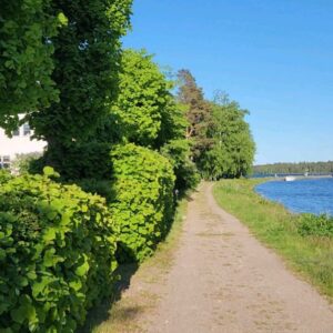 Camilla Thulin Instagram - Stockholm/Karlsborg t/r 24h. Sällskapade maken till vackra #karlsborg för promenera kring #vättern och #götakanal en ljuvlig sommarstad. Maken besökte #karlsborgsregemente och Musse och jag promenerade runt i den ljuva grönskan. Karlsborg, väl värt en omväg!