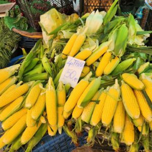 Camilla Thulin Instagram - Tisdagsmarknad I #yalikavak #marknad #foodies #veggies #ecologic #bodrum #turkiet #turkey #türkiye