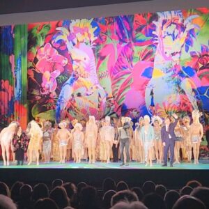 Camilla Thulin Instagram - Föreställning tre La Cage aux Folles #lacageauxfolles på @komischeoperberlin #komischeoperberlin just nu på Schiller-Theater, saknade min vän Jan Malmsjö #janmalmsjö Dagens #middag självklart en #wienershnitzel #berlin #deutchland #tyskland #germany