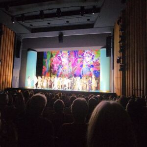 Camilla Thulin Instagram - Föreställning tre La Cage aux Folles #lacageauxfolles på @komischeoperberlin #komischeoperberlin just nu på Schiller-Theater, saknade min vän Jan Malmsjö #janmalmsjö Dagens #middag självklart en #wienershnitzel #berlin #deutchland #tyskland #germany