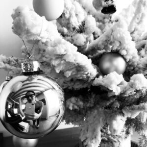 Camille De Pazzis Instagram - 🌲🎅🏼 #passionsapin 🌟#viveleventdhiver 🌲. . .  #christmastree #reflection #instagood #christmas #christmasdecor #snow #bulb
