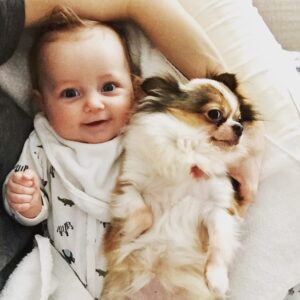 Candace Bailey Instagram - New besties #annabelleandhattie #annabellegracierosen