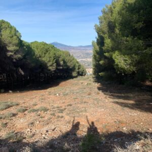 Candela González Instagram - Como volver a empezar 
Todo es nuevo. Todo
Lo estreno cada día con la ilusión
De la niña que espera
Ante cada instante 
Aunque tú no estés y yo tampoco, hablo
Dialogo con los momentos 
Hago esta habitación grande aunque 
Mi cuerpo no quepa lo intento 
Me busco en aquella noche y 
Hay oscuridad, el ruido del vacío 
Pero el brillo de unos ojos
Que observan
Me protegen de no saber
Dónde estoy 

Se difumina la niebla de los años 
Me encuentro al final de la sala (recap)
