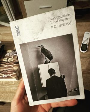 Caner Özyurtlu Instagram - Gündemden şiştim, buraya paralel evren açıyorum. Küfredecekseniz özele gelin, burası kitap kulübü:) Bu ay okuyup sevdiğim şeyleri bırakıyorum. Tek tek görüş yazmayayım. Sevmediklerimi hiç bulaştırmıyorum. Desen’in reklamı gibi olmuş ama denk geldi, Gergedan Kitabevi’ndeki Rüya Hanım’ın tavsiyesiyle okumaya başladım Fabien Toulme’yi, kendisine teşekkür ediyorum. Neler yazıyorum…