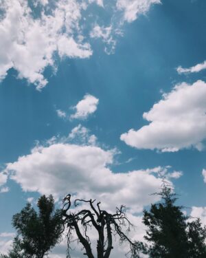 Cansu Kurgun Instagram - ne güzel gün❤️