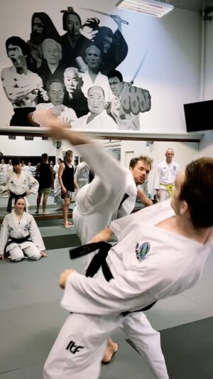 Carl Van Roon Instagram - Teaching spinning kick mechanics “turn and release” to harvest and release kinetic energy as @robinblackmartialarts bink 🫡 #kineticchain #kineticchainrelease #biomechanics #sportscience #teaching #coaching #vanroonmartialarts #taekwondo #kickboxing #karate